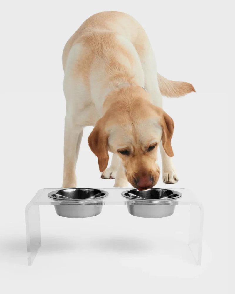 Clear Lucite Double Bowl Pet Feeder (Made in the USA) (Direct-Ship) - Image 18