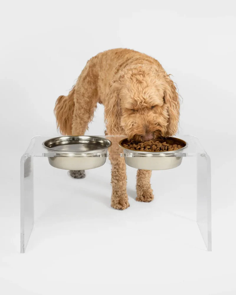 Clear Lucite Double Bowl Pet Feeder (Made in the USA) (Direct-Ship) - Image 19
