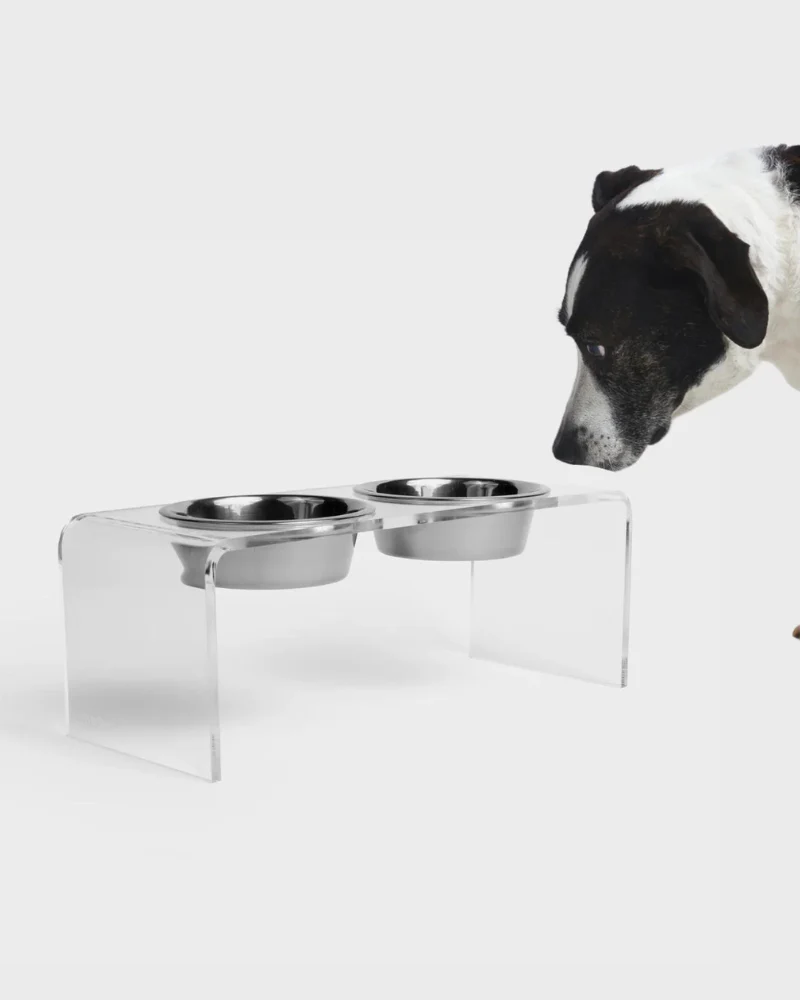 Clear Lucite Double Bowl Pet Feeder (Made in the USA) (Direct-Ship) - Image 2