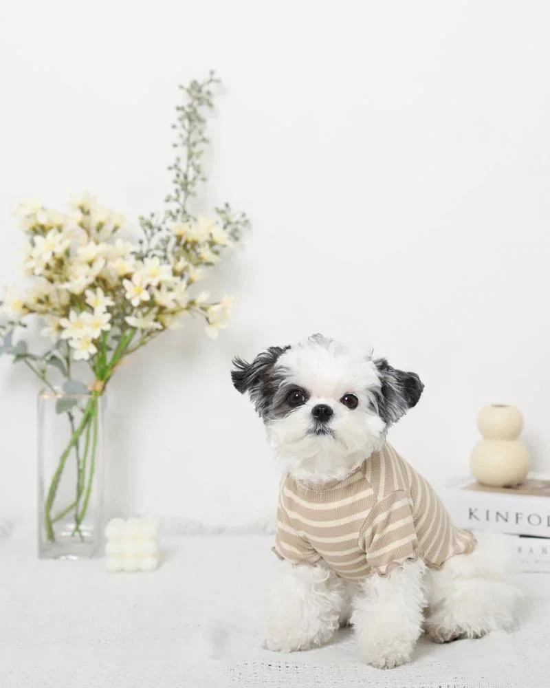 Ribbed Fruit Dog T-Shirts in Cherry or Pineapple (FINAL SALE) - Image 5