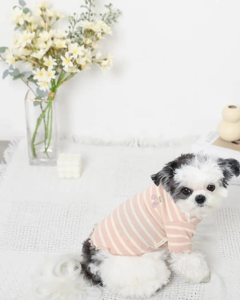 Ribbed Fruit Dog T-Shirts in Cherry or Pineapple (FINAL SALE) - Image 6