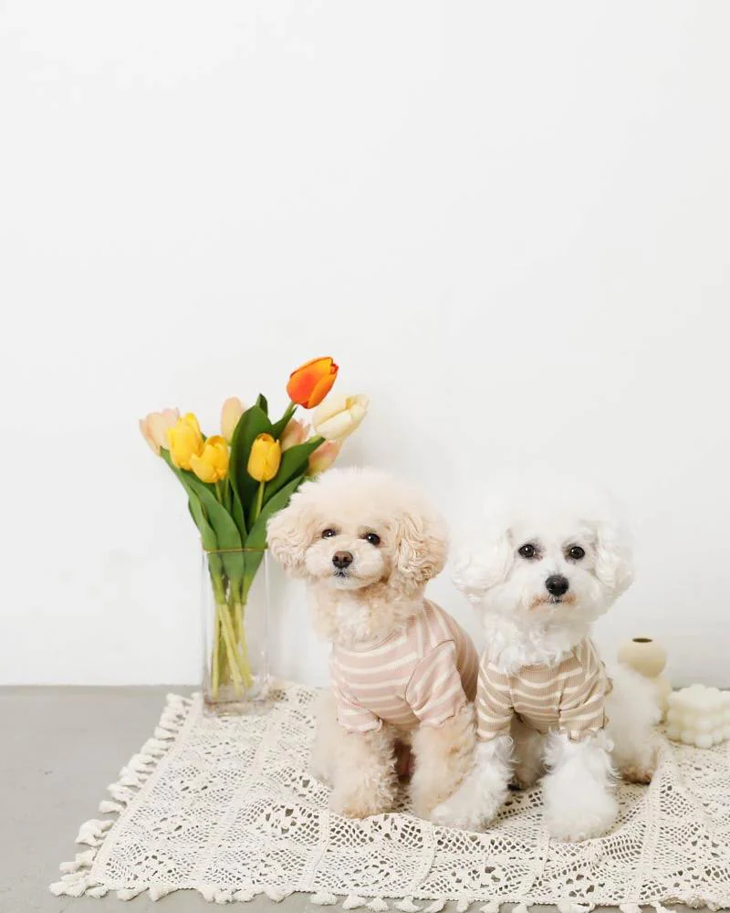 Ribbed Fruit Dog T-Shirts in Cherry or Pineapple (FINAL SALE) - Image 7