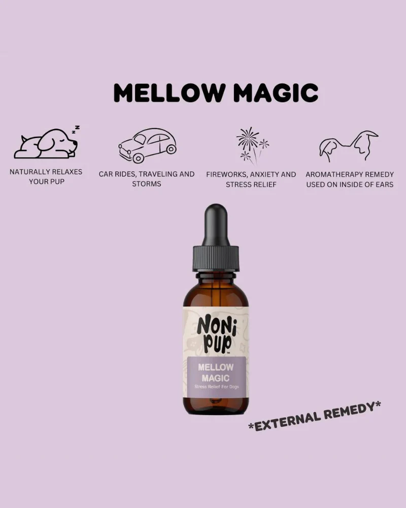 Mellow Magic Soothing Serum for Dogs - Image 2