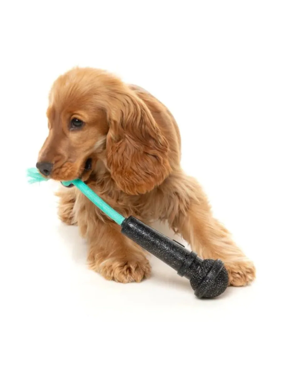Mic Drop Interactive Chew Dog Toy - Image 6