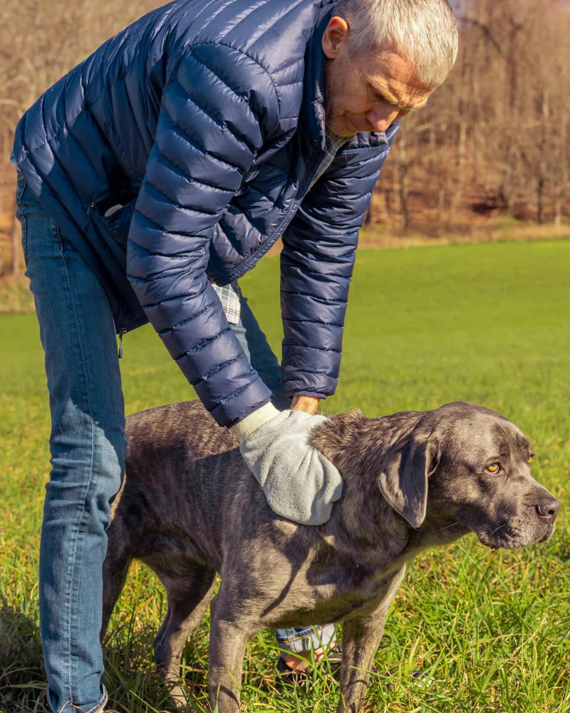 Microfiber Tick Mitt for Humans & Pets - Image 12