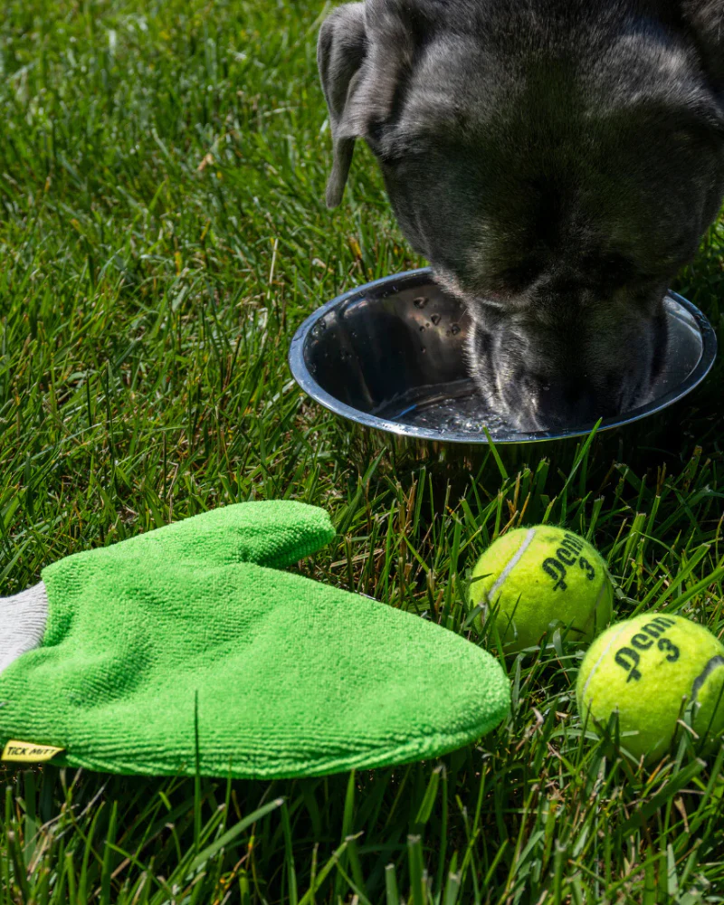 Microfiber Tick Mitt for Humans & Pets - Image 18