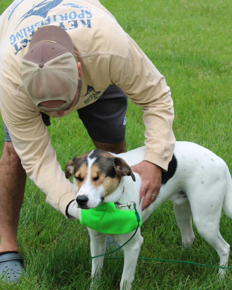 Microfiber Tick Mitt for Humans & Pets - Image 3