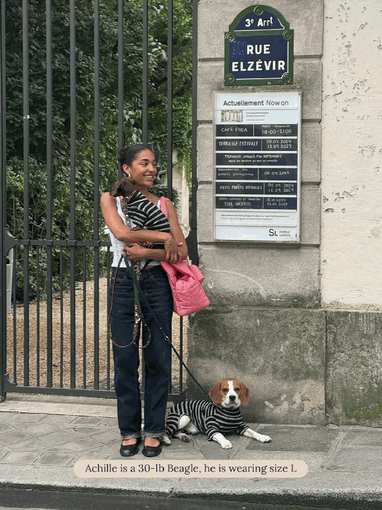 Midnight in Paris Dog Onesie (FINAL SALE) - Image 2