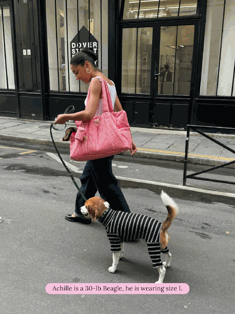 Midnight in Paris Dog Onesie (FINAL SALE) - Image 4