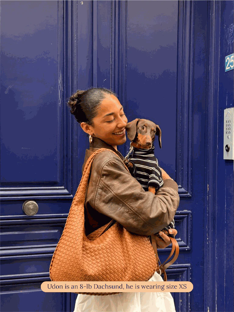 Midnight in Paris Dog Onesie (FINAL SALE) - Image 5