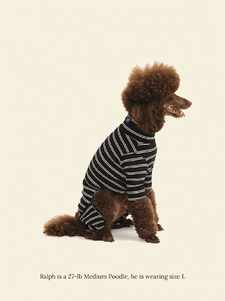 Midnight in Paris Dog Onesie (FINAL SALE) - Image 7
