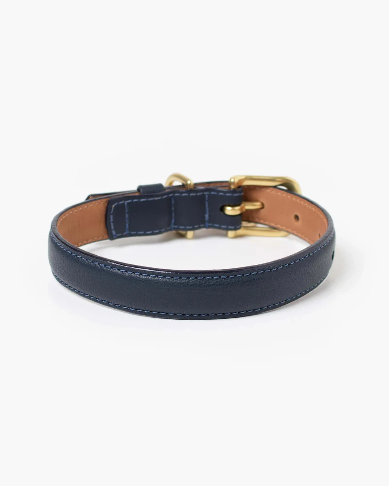 Midnight Leather Dog Collar (Made in Guatemala) - Image 5
