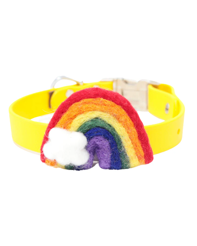 Rainbow Dog Collar Accessory (Made in the USA) (FINAL SALE) - Image 5