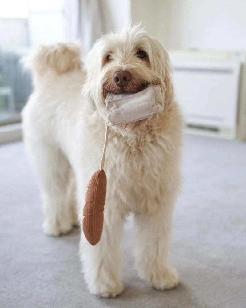 Mini Baguette Nosework Squeaky Dog Toy - Image 3
