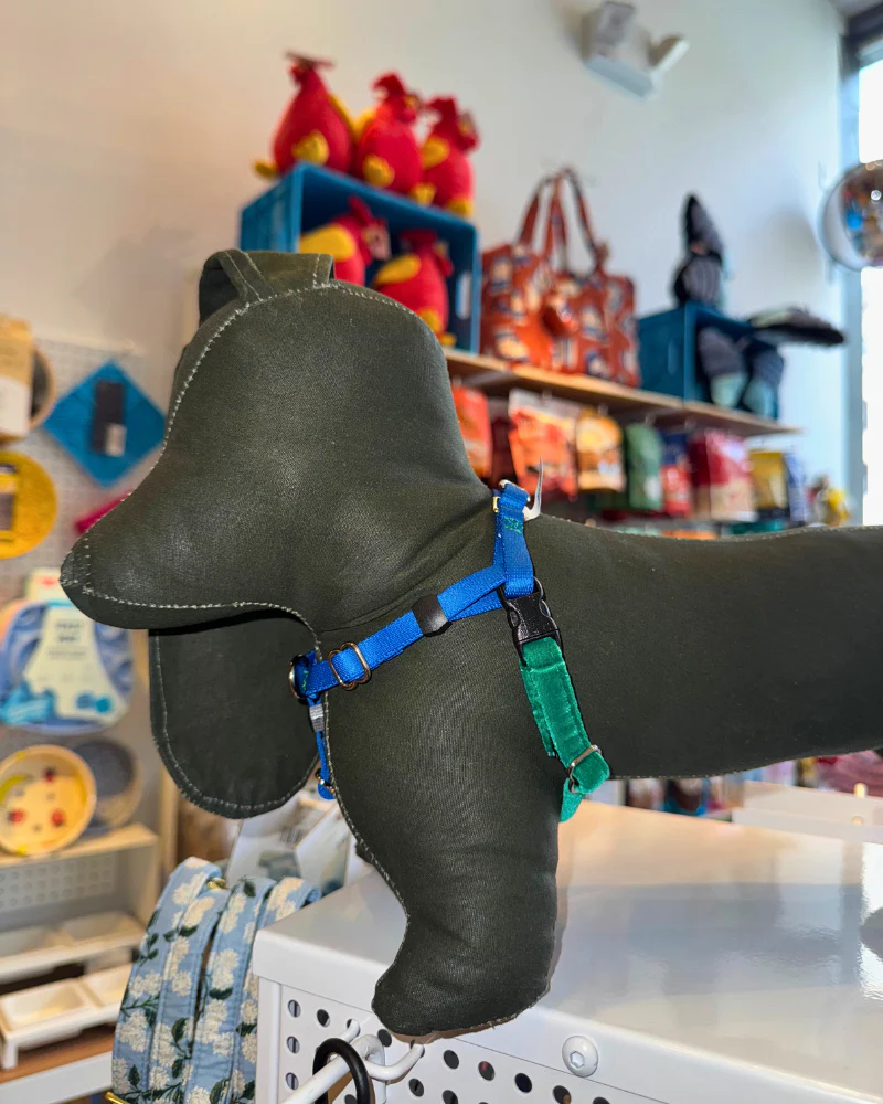 Mini Freedom Dog Harness in Kelly Green + Royal Blue (Made in the USA) - Image 3