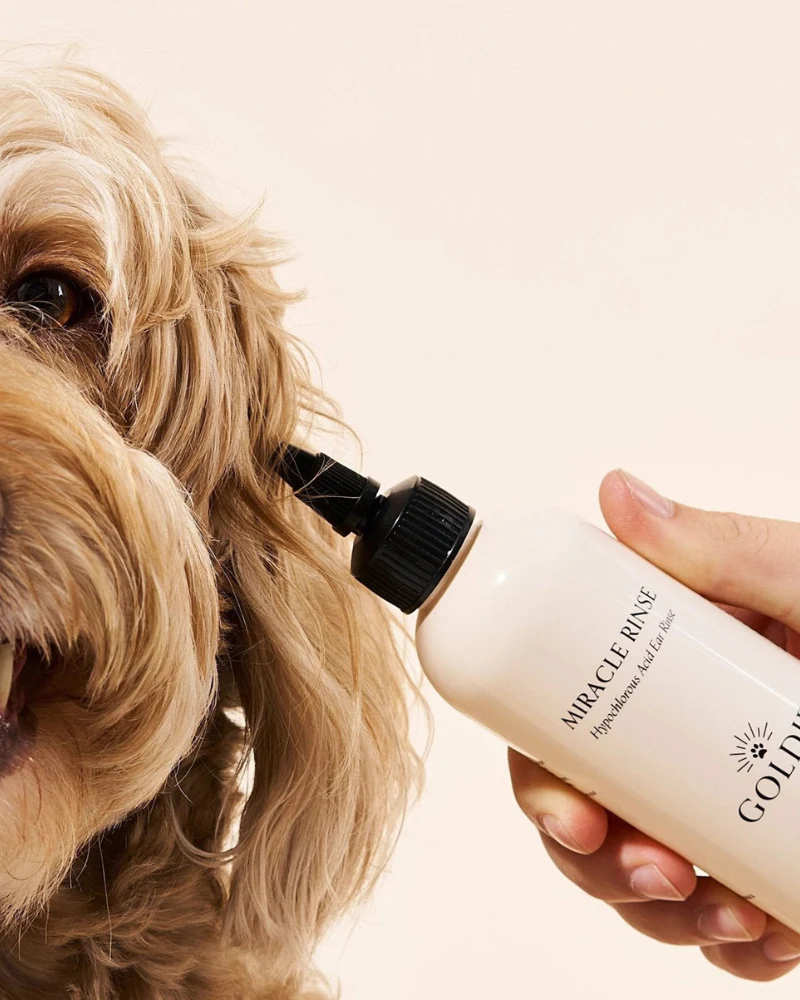 Miracle Mist Dog Ear Cleaner - Image 2