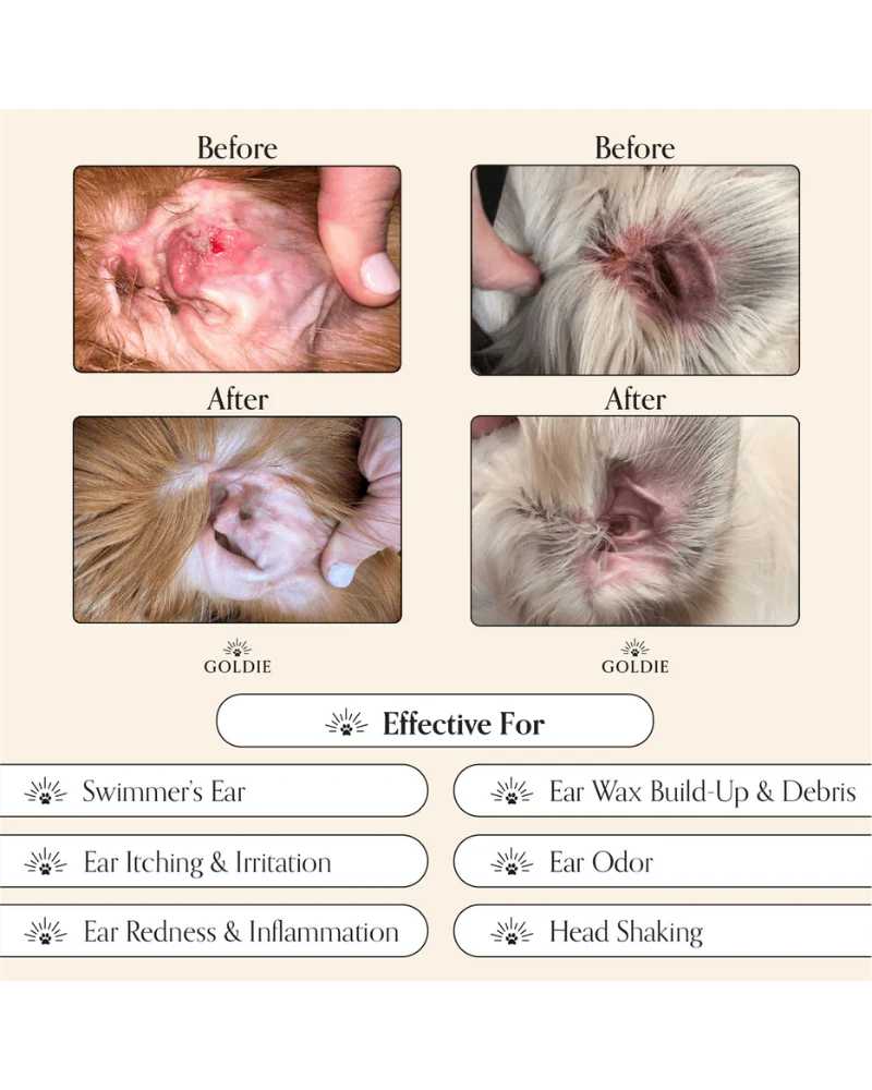 Miracle Mist Dog Ear Cleaner - Image 3