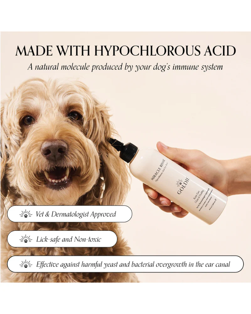 Miracle Mist Dog Ear Cleaner - Image 4