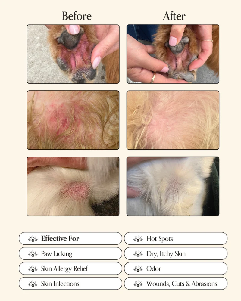 Miracle Mist Hypochlorous Acid Spray for Dogs (3.4oz) - Image 3