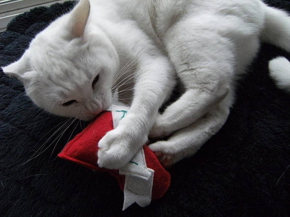 MISO HANDMADE | Bad Ass Heart Cat Toy - Image 3