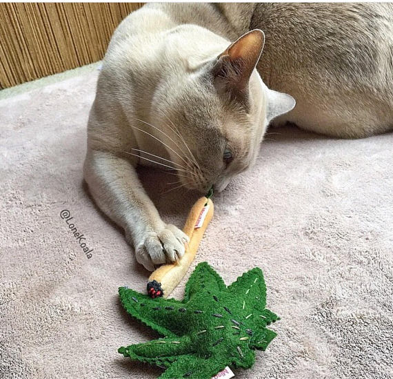 MISO HANDMADE | Meowy Wowy Cat Toy - Image 4