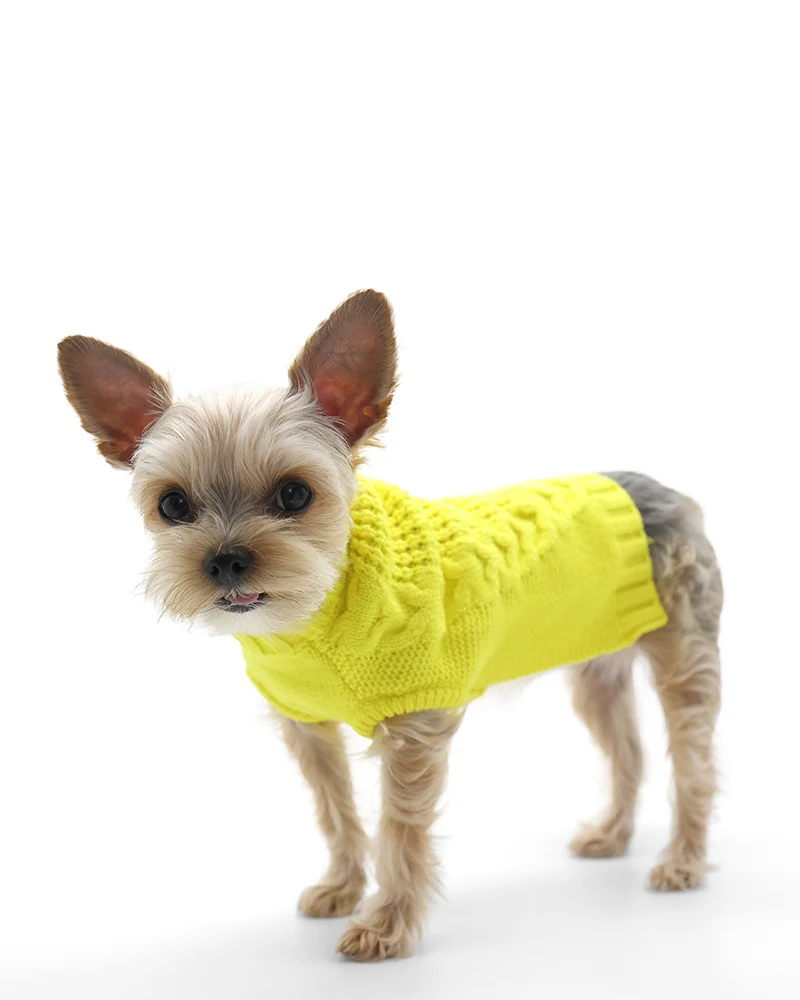 Mix Knit Dog Sweater in Sunshine Yellow<br>(FINAL SALE) - Image 5
