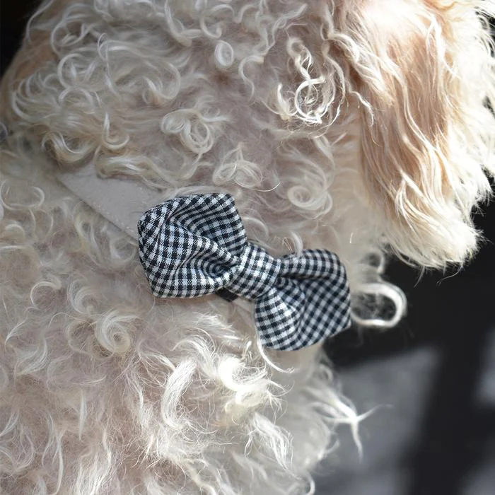 MODERN BEAST | Bow Tie in Black Gingham - Image 2