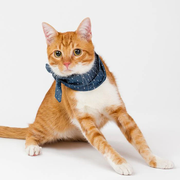 MODERN BEAST | Neck Tie in Polka Dot Denim - Image 4