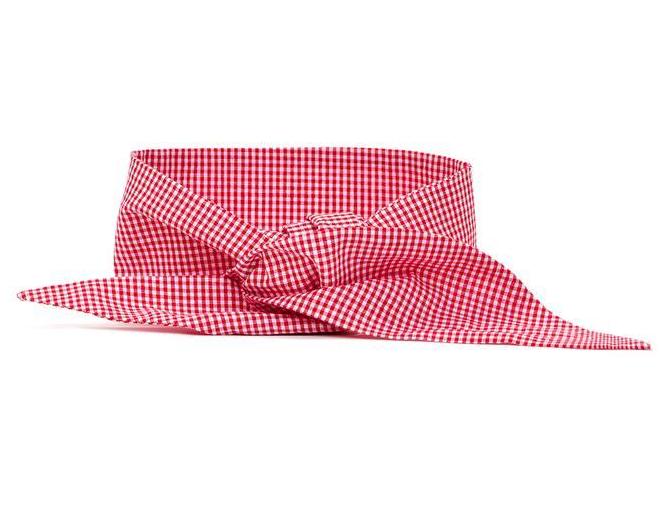 MODERN BEAST | Neck Tie in Red Gingham