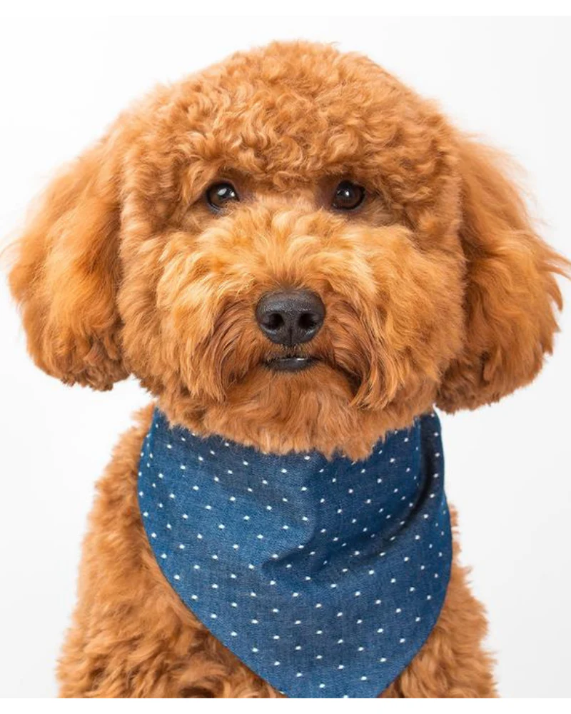 Denim Polka Dot Bandana (FINAL SALE) - Image 3