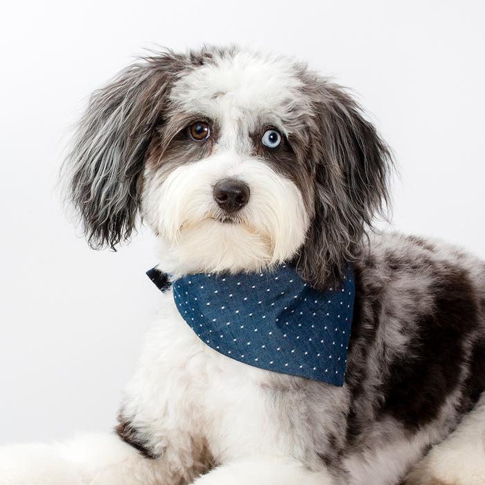 Denim Polka Dot Bandana (FINAL SALE) - Image 4