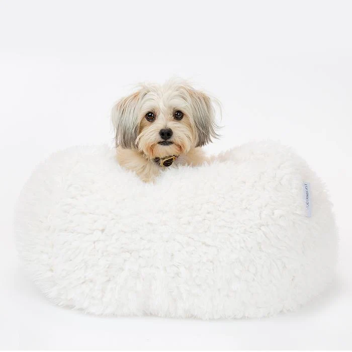 Pod Bed in Ivory (Custom/Direct-Ship) (Made in the USA) - Image 3