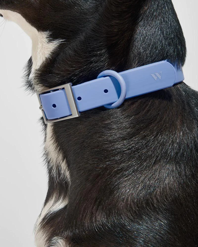 Modern Dog Collar in Moonstone (FINAL SALE) - Image 2