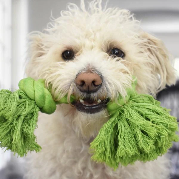 MODERNBEAST | Tug-A-Beast Toy in Grass Green - Image 2