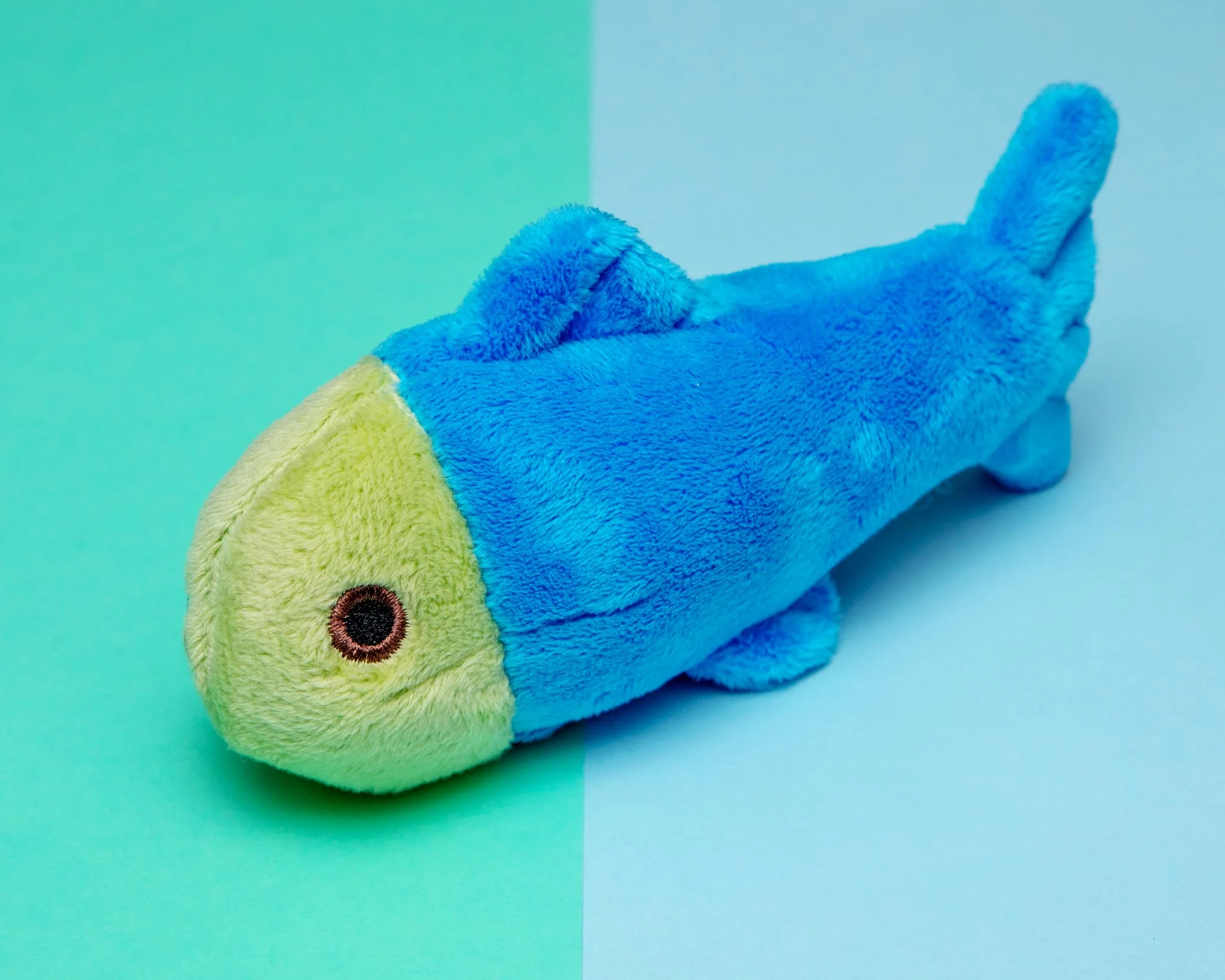 Molly Fish Squeaky Dog Plush Toy - Image 3