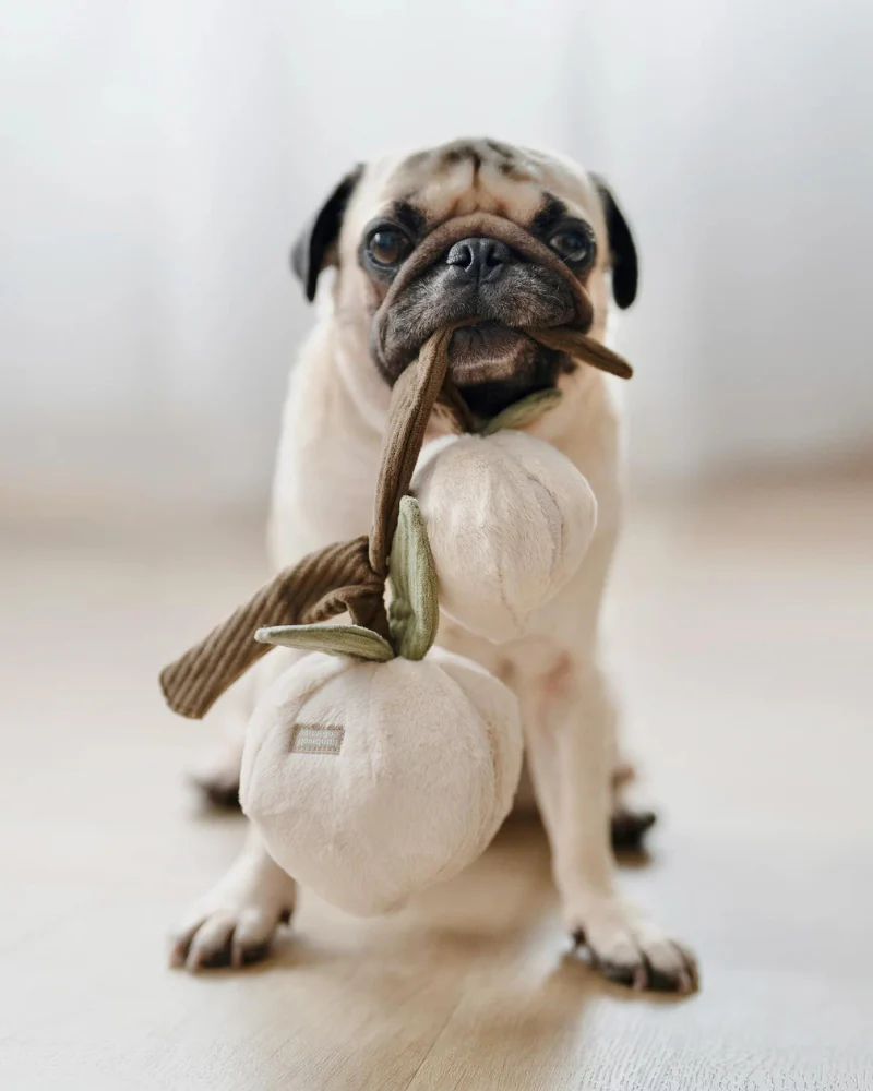 Momo Peaches Snuffle Interactive Dog Toy - Image 4