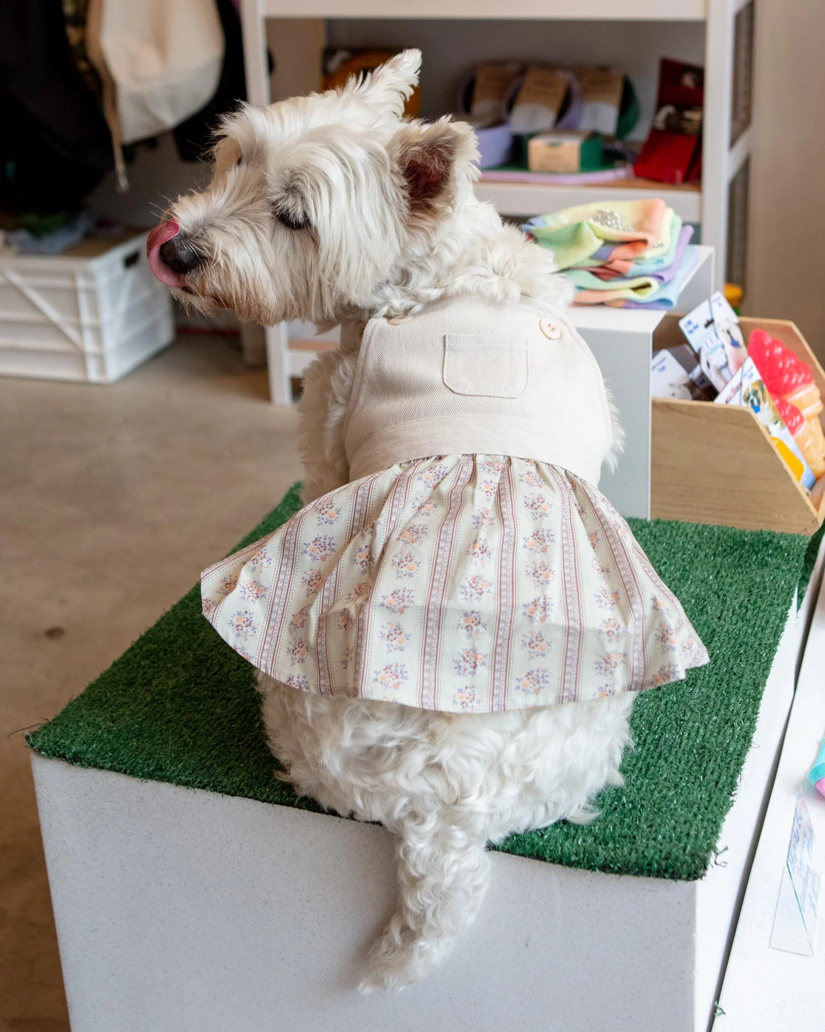 Japanese Denim Flower Dog Dress - Image 2