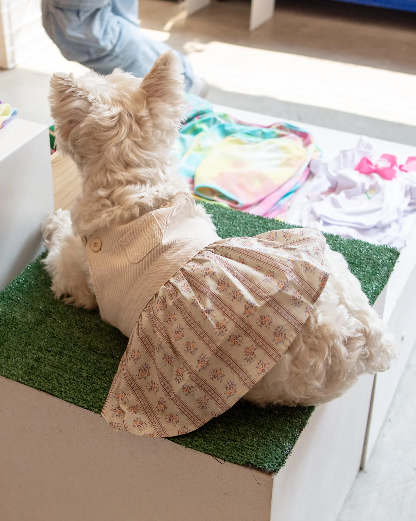 Japanese Denim Flower Dog Dress - Image 3