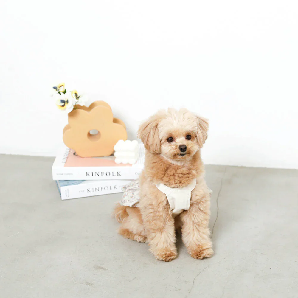Japanese Denim Flower Dog Dress - Image 8