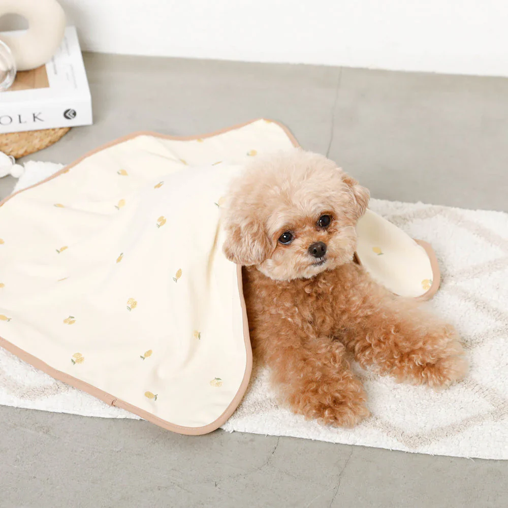 Embroidered Lemon Fold-Up Blanket Mat (FINAL SALE) - Image 10