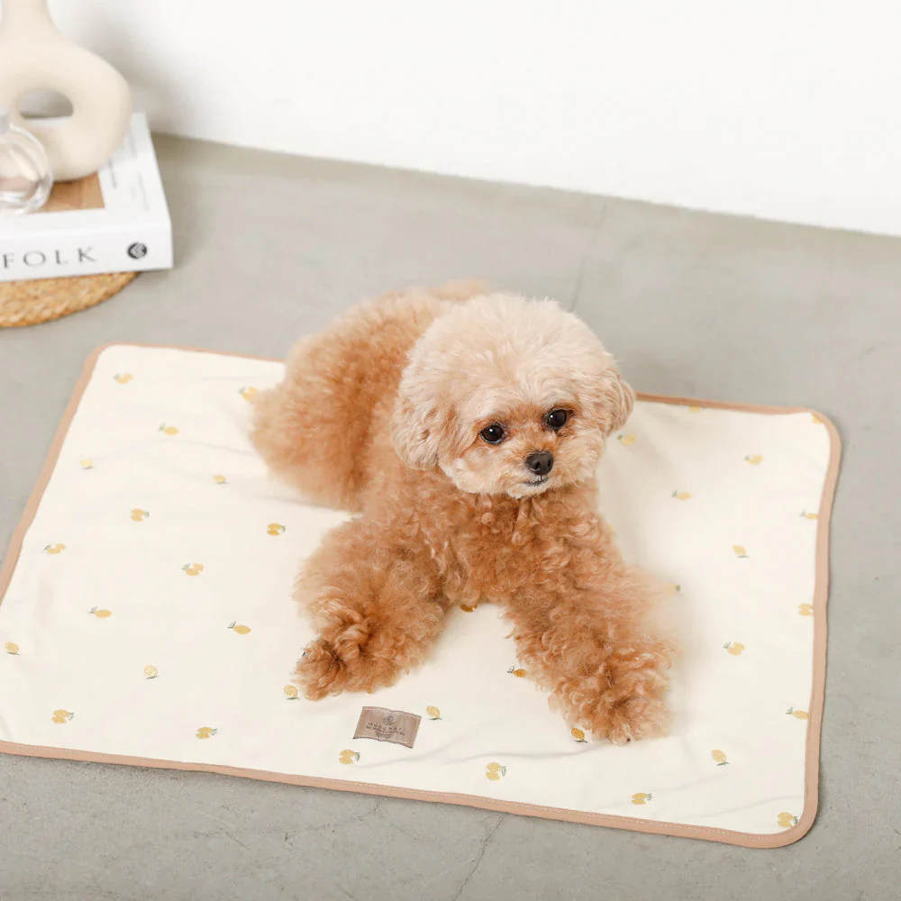 Embroidered Lemon Fold-Up Blanket Mat (FINAL SALE) - Image 5