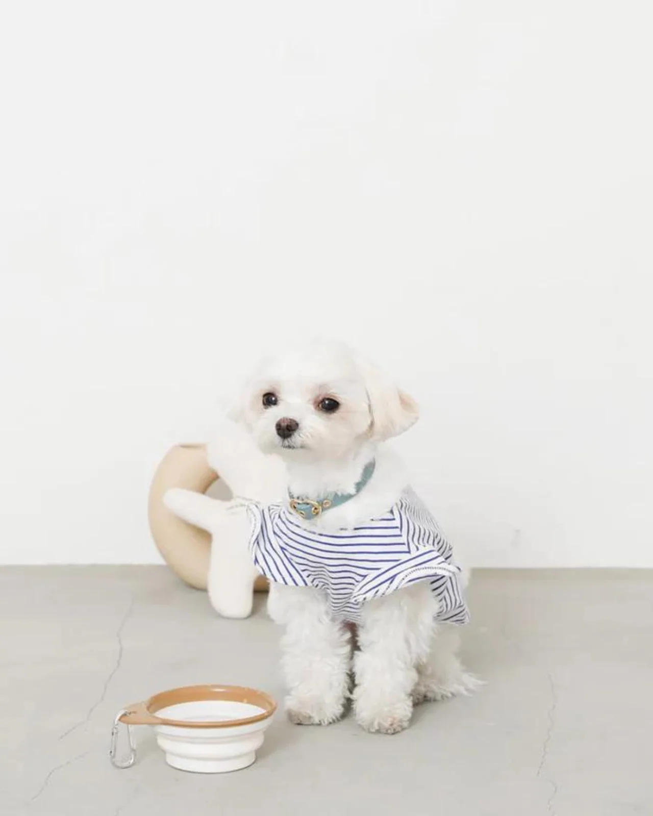 Folding Food & Water Bowl - Image 2