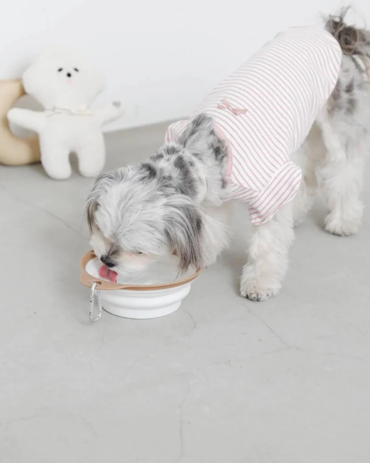 Folding Food & Water Bowl - Image 6