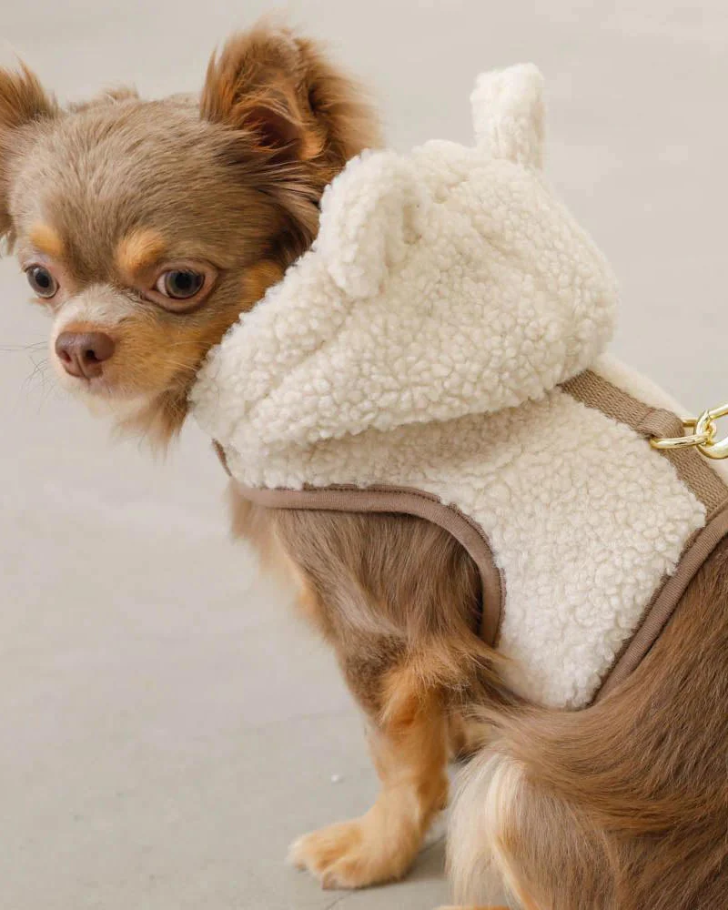 Fuzzy Bear Hoodie Dog Harness (FINAL SALE) - Image 2
