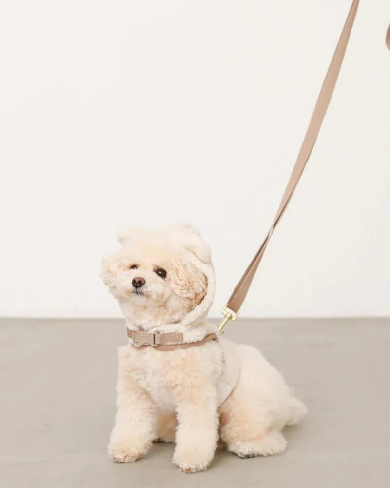Fuzzy Bear Hoodie Dog Harness (FINAL SALE) - Image 3