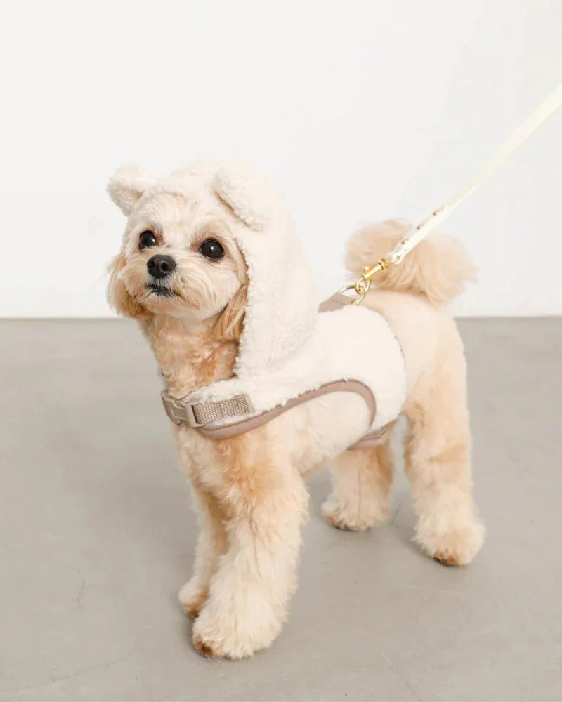 Fuzzy Bear Hoodie Dog Harness (FINAL SALE) - Image 5