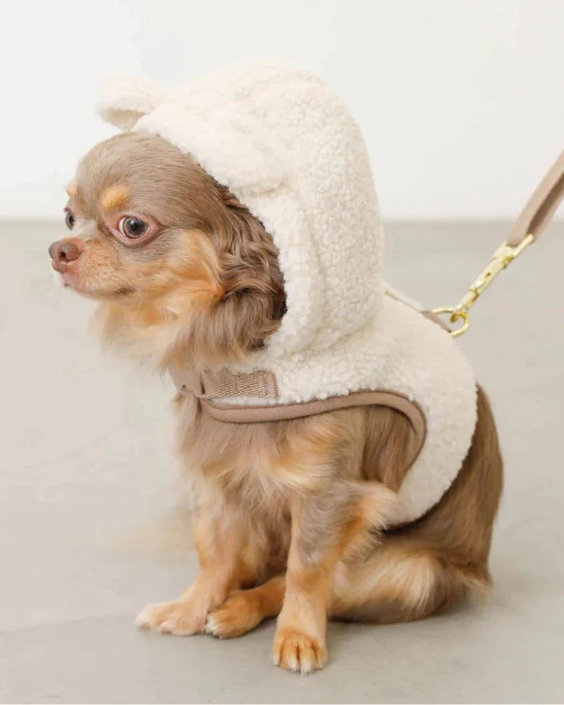 Fuzzy Bear Hoodie Dog Harness (FINAL SALE) - Image 7