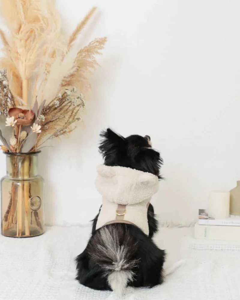 Fuzzy Bear Hoodie Dog Harness (FINAL SALE) - Image 9