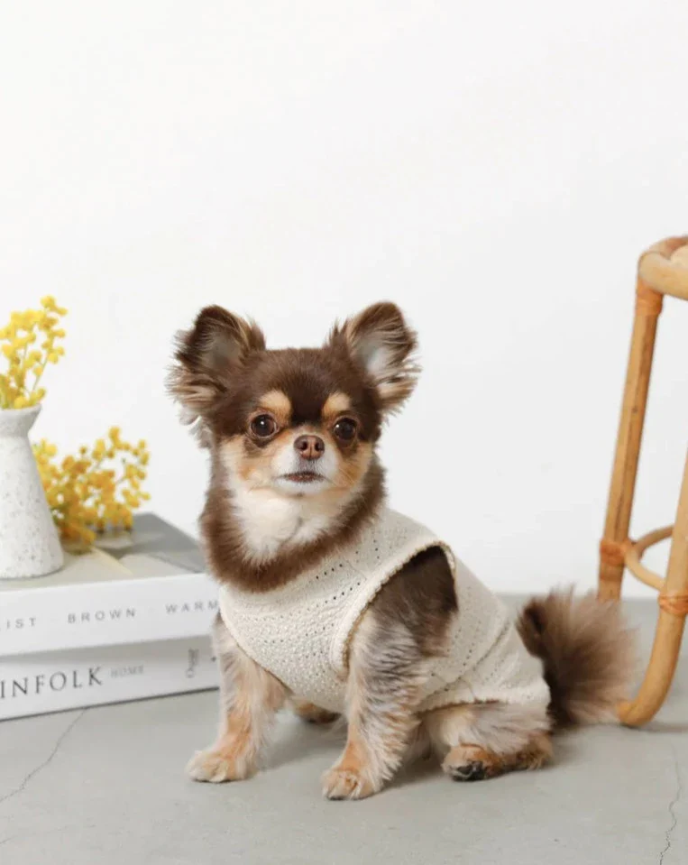 Sleeveless Bow Top for Dogs - Image 3