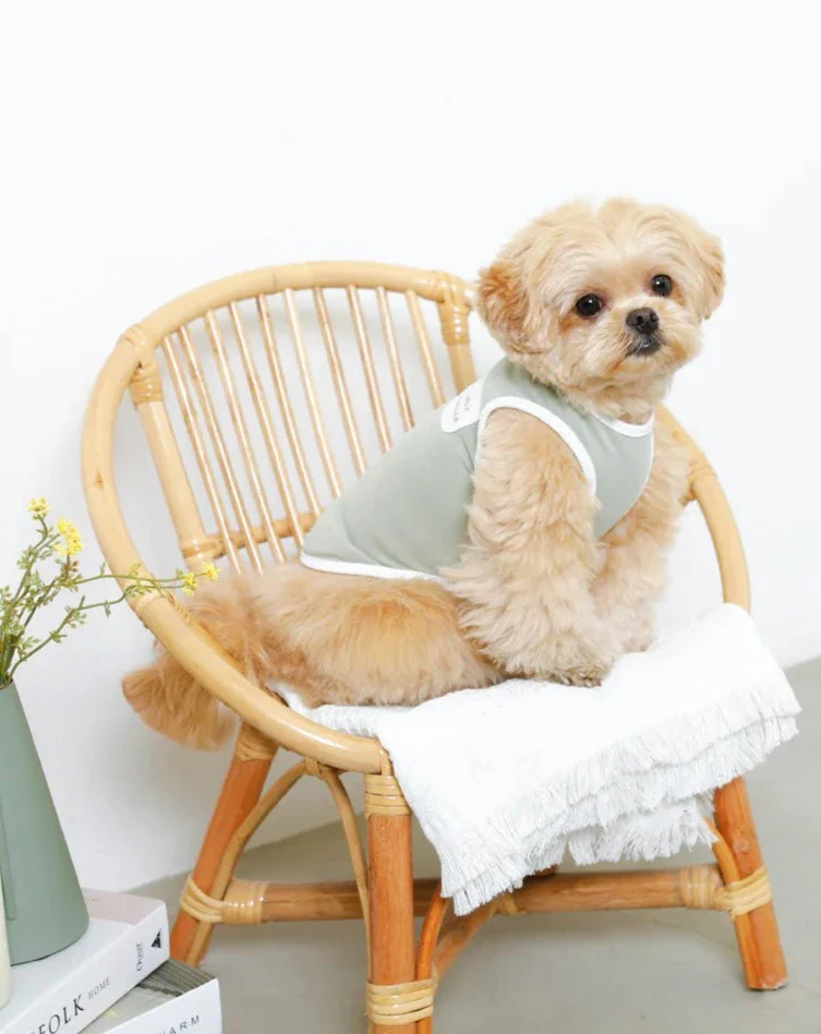 Sleeveless Cool T-Shirt Dog Tank (FINAL SALE) - Image 2